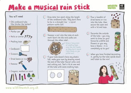 Musical rain stick