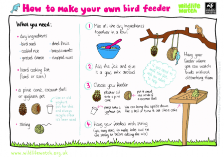 Make a bird feeder