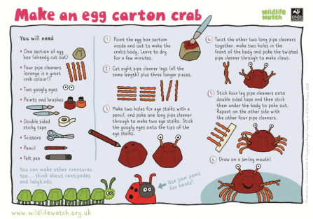 Egg carton crab