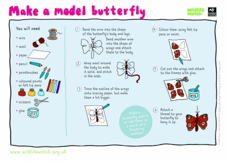 Make a butterfly model