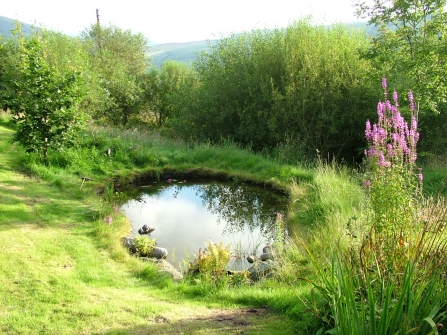 A rural garden with a pond and wild overgrown areas for wildlife