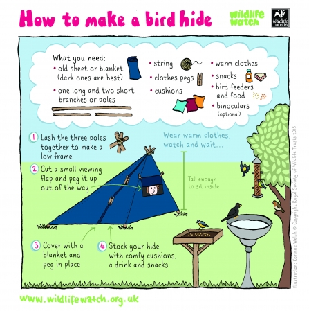 Make your own garden bird hide