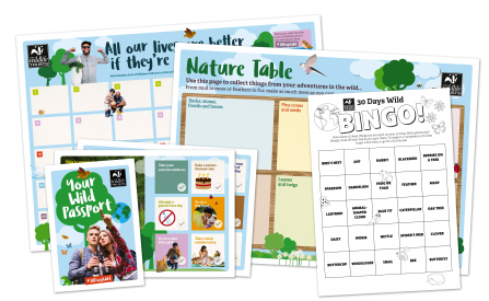 A 30 Days Wild pack containing a wall chart, bingo card, nature table template and more