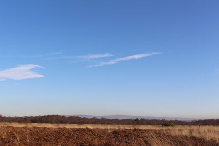 Winmarleigh Moss near Garstang below a clear blue sky