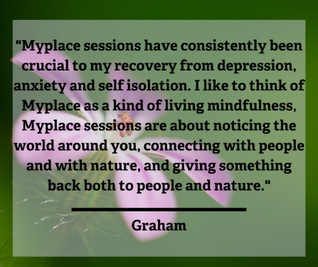 Quote from participant