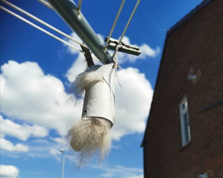 Bird nesting material taken by participant