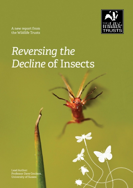 The Wildlife Trust's 'Reversing the Decline of Insects' report