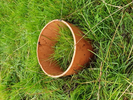 Gas emission monitoring collar sunk into a field at Winmarleigh