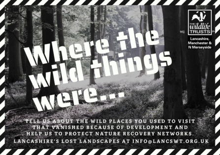 Where the wild things were