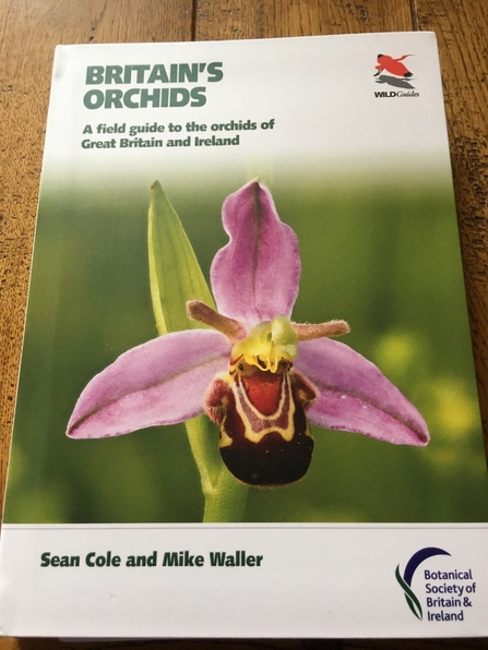 Britain's Orchids