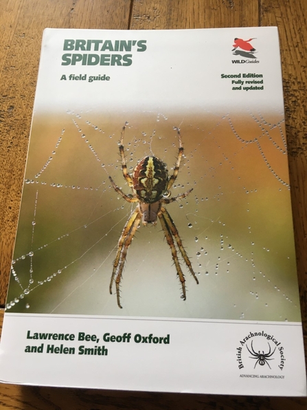 Britain's spiders