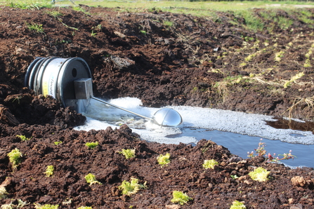 Silver pump providing water to the Winmarleigh carbon farm