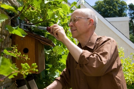 Bird Box Installation