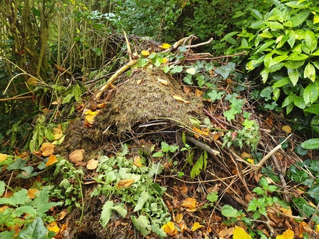 Habitat pile of sticks, leaves and dead grass