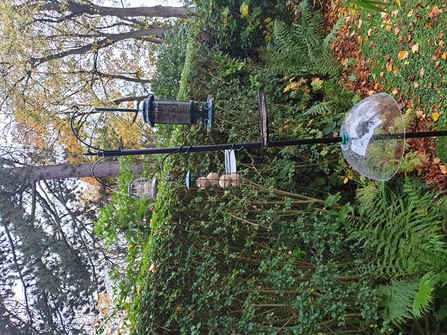 Bird feeding station hung with bird feeders