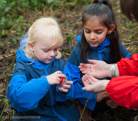 Two young children looking at an insect in a bug pot in the woods