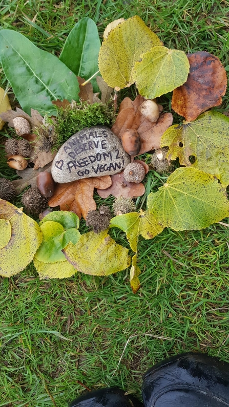 Activism rocks by Hannah Croft