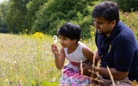 A father and daughter looking for minibeasts on plants in a wildflower meadow