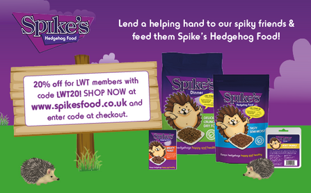 Get 20% off Spike's hedgehog food with this special code to use at checkout