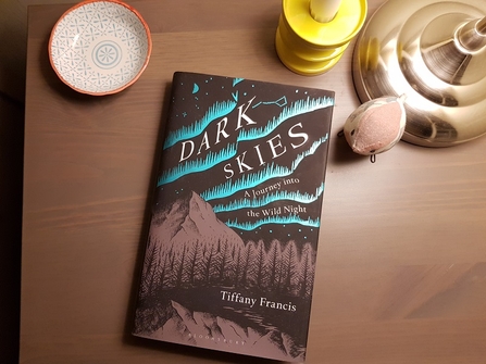 The book Dark Skies on a bedside table