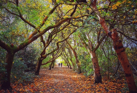 Heaton Park 