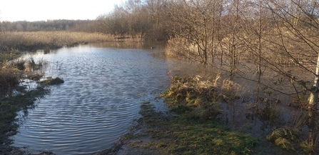 Bickershaw flood storage management