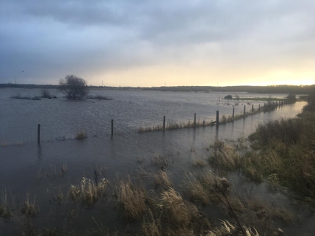 Lunt meadows flooded January 2021