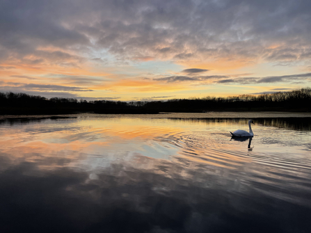 Brockholes 
