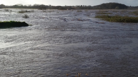 Lunt Meadows Flooding Jan 2021