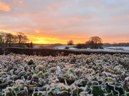 Sunrise over Little Woolden Moss 
