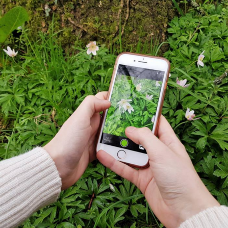 Recording wildlife using iNaturalist