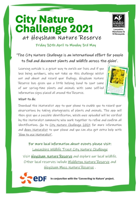 Heysham City Nature Challenge Introduction sheet