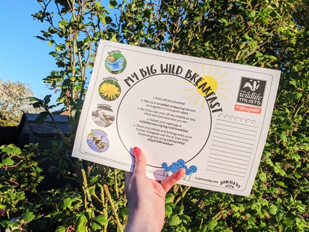 Hand holding a Big Wild Breakfast placemat up against a tree in the sunshine. The placemat has tips for spotting wildlife