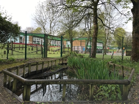A wildlife pond in the grounds of St Michael's C of E Primary School