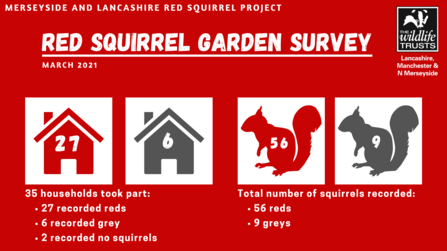 How many red and grey squirrels were recorded in the Lancashire Wildlife Trust 2021 Red Squirrel Garden Survey?