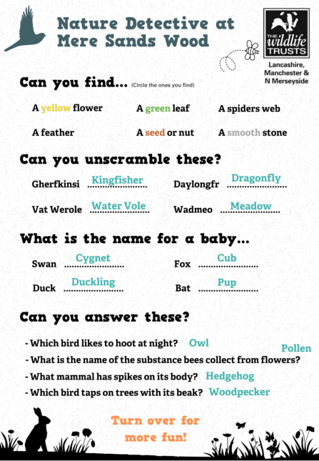 MSW Answers 1
