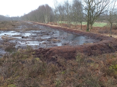 Bunds shown holding standing water at Astley Moss