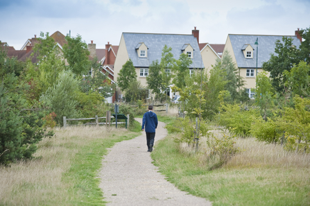 A person walking away from camera, down a path lined with trees and long grass, towards a housing estate