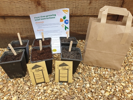 Peat-free planting trail kit, with pots of compost, seeds and an instruction sheet
