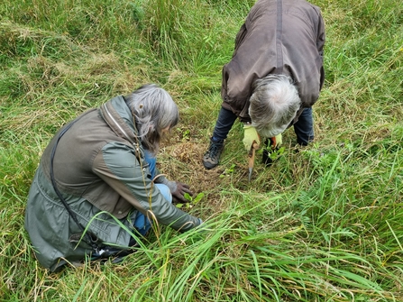 A pair of volunteers help to plant wildflowers in their local park