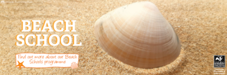 Find out more about our Beach school Programme ©Amy Pennington