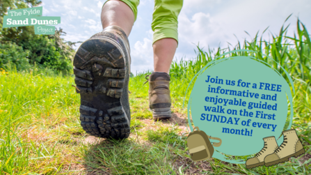 Join us for a guided walk on the Fylde Sand Dunes
