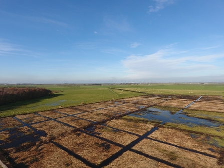 An aerial shot over the carbon farm at Winmarleigh Moss, where green agricultural land borders a restored peatland landscape that is filling with water