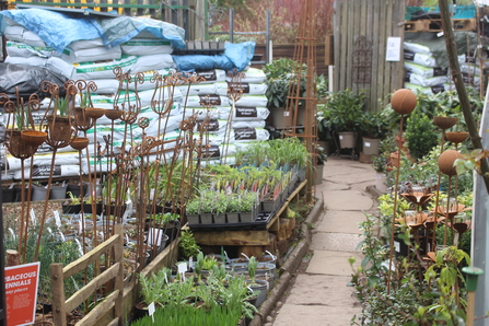 Potted plants and bags of peat-free compost at Bud Garden Centre