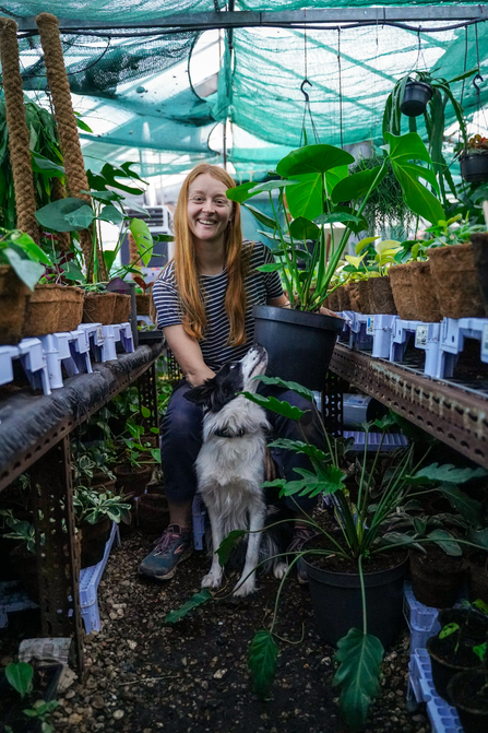 Harriet Thompson in her greenhouse with her border collie