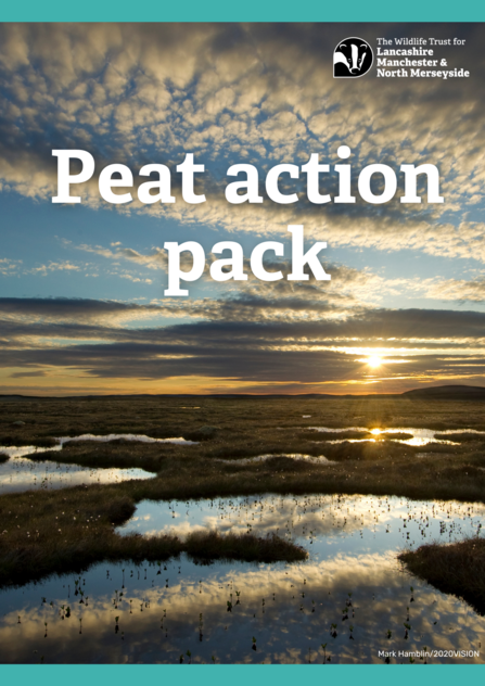 Peat action pack front cover showing a peatland scene at sunrise