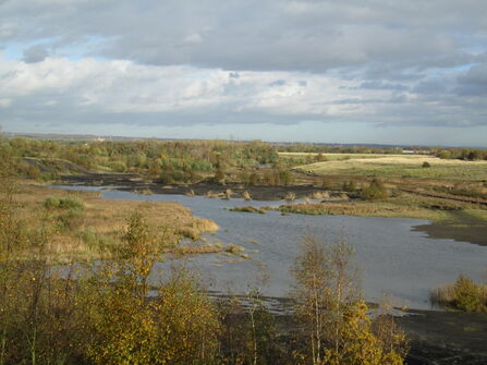 Bickershaw Country Park
