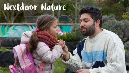 A father and daughter blowing on a dandelion clock against a park backdrop