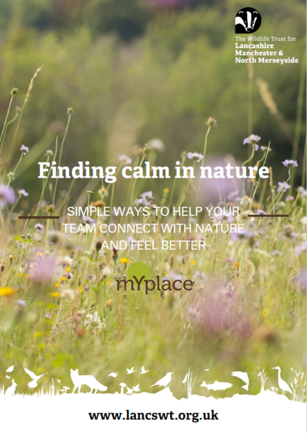 Front cover of LWT's Wellbeing Guide. Title: Finding calm in nature. Subtitle: Simple ways to help your team connect with nature and feel better. Cover image: field with purple wildflowers