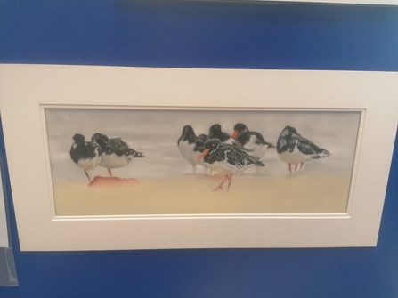Oystercatchers by Karen Markham